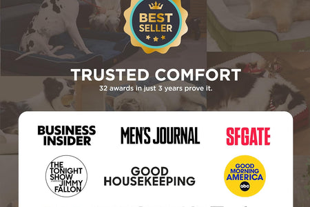 Orthopedic Dog Bed for Medium Dogs - Waterproof Dog Sofa Bed Medium, Supportive Foam Pet Couch Bed with Removable Washable Cover, Waterproof Lining and Nonskid Bottom, Grey